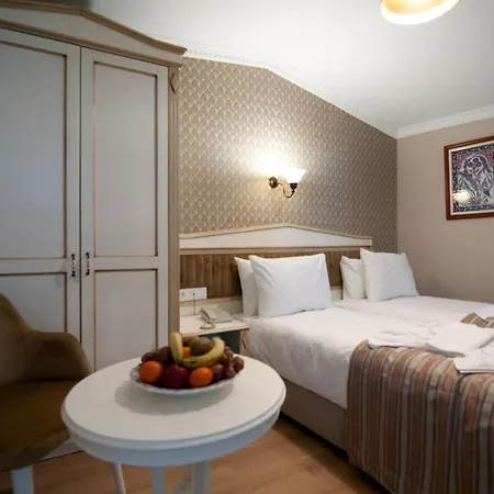 Mevlana Hotell Istanbul