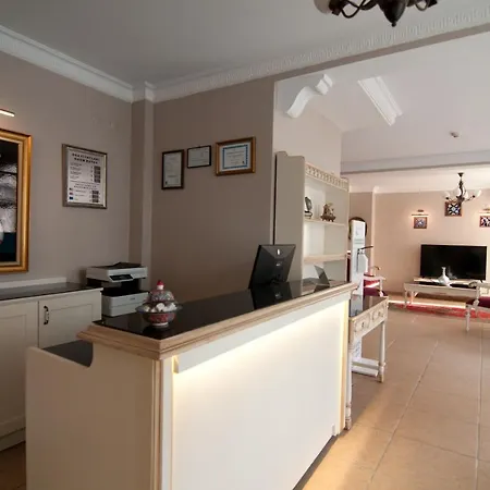 ميولانا فندق 3*