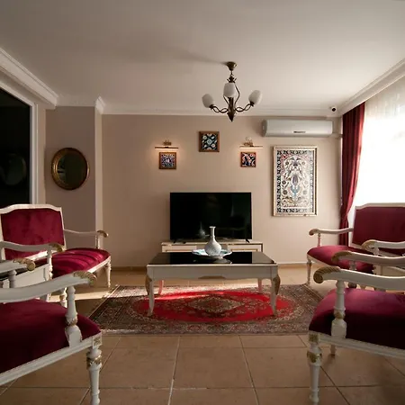 Mevlana 3*
