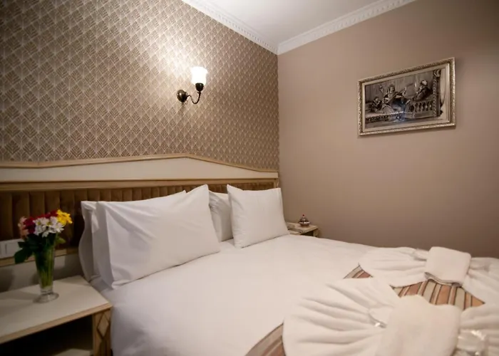 Отель Mevlana Стамбул