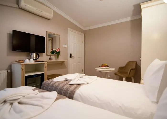 Отель Mevlana Стамбул