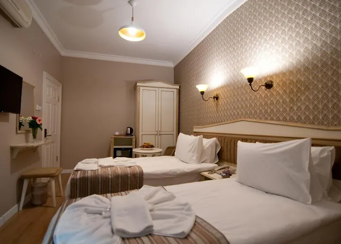 Отель Mevlana 3*