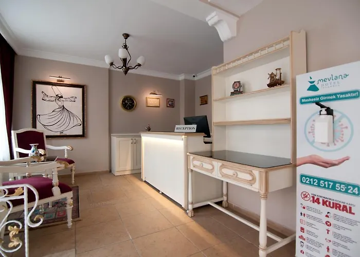 Mevlana 3* Стамбул