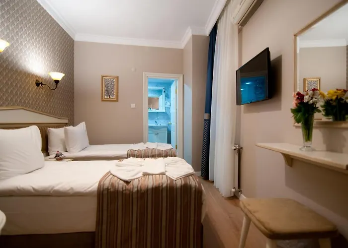 Отель Mevlana Стамбул