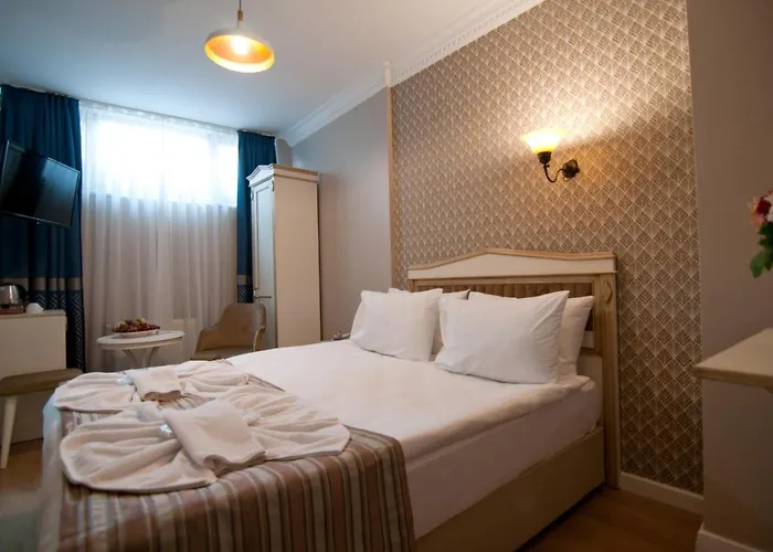 Отель Mevlana Стамбул