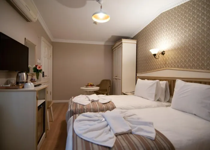 Отель Mevlana 3*