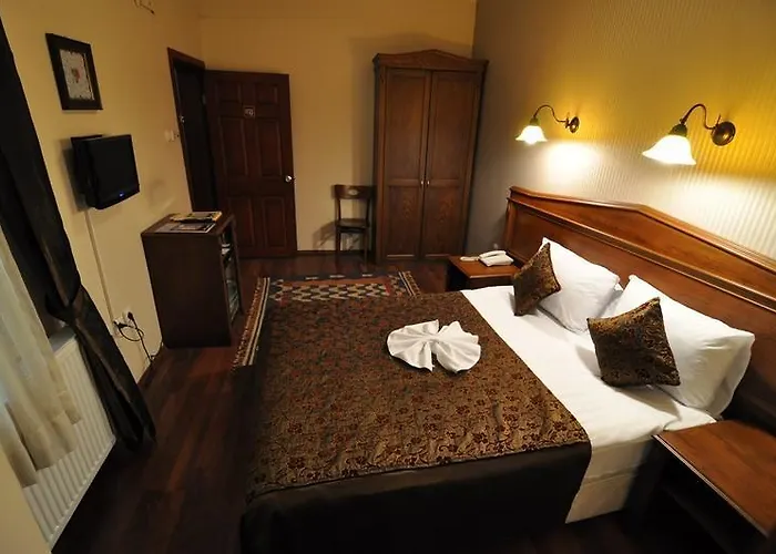 Отель Mevlana Стамбул