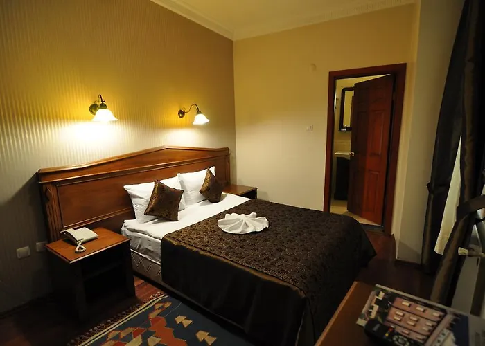 Отель Mevlana 3*