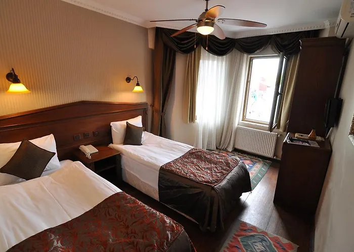 Mevlana Стамбул