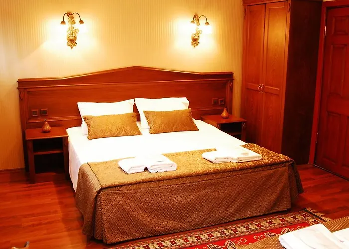 Отель Mevlana 3*