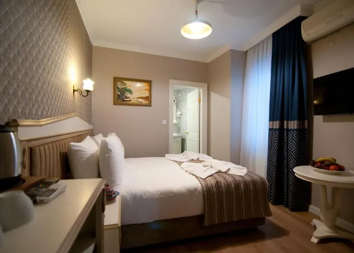 Mevlana Отель Стамбул