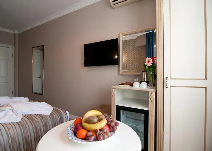 Отель Mevlana Стамбул