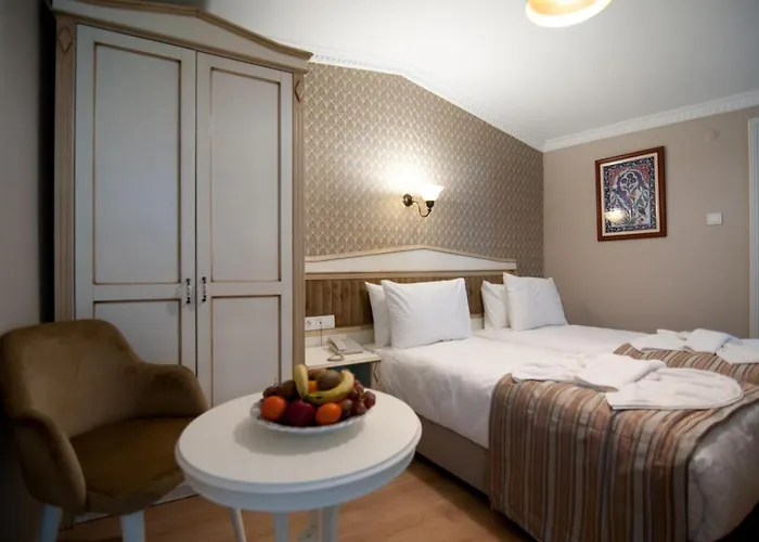 Mevlana Отель Стамбул