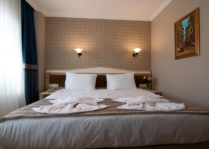 Отель Mevlana 3*