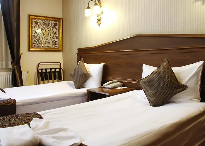 Отель Mevlana Стамбул