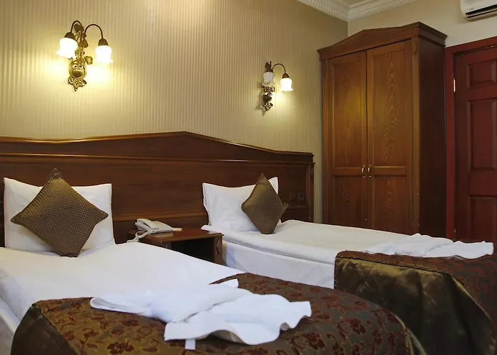 Отель Mevlana 3*